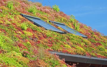 Letcombe Bassett living roof systems